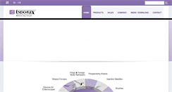 Desktop Screenshot of endo-flex.com